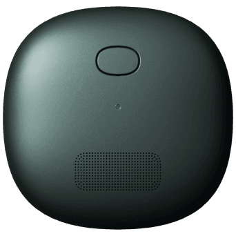 Mori device dark