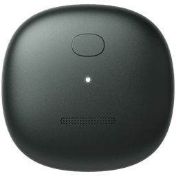 Mori journaling AI device