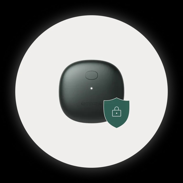 Mori device with privacy shield