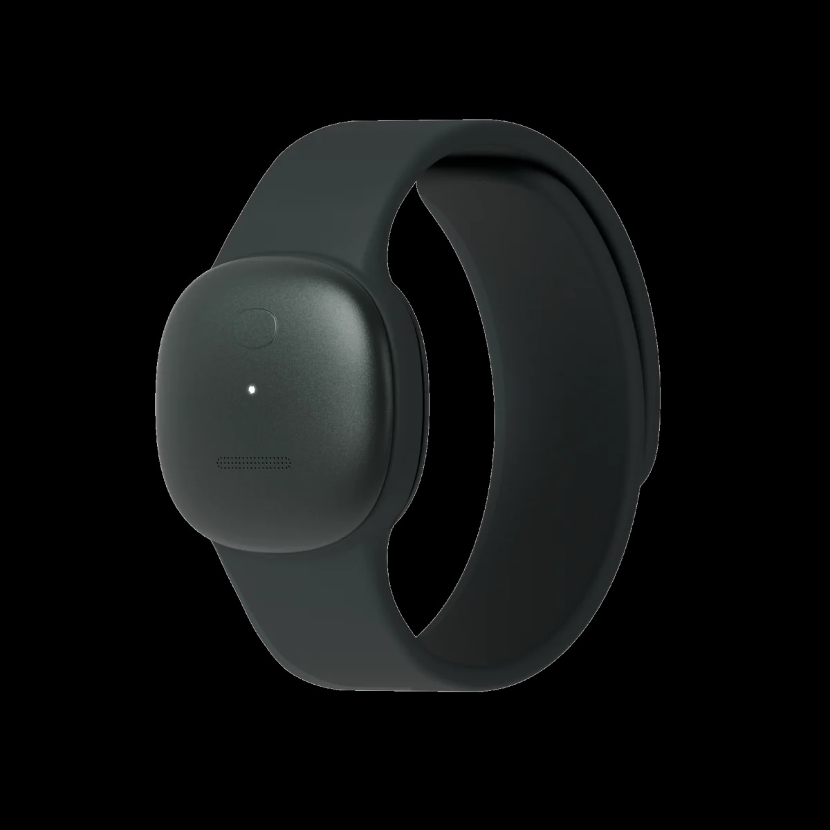 Mori watchband